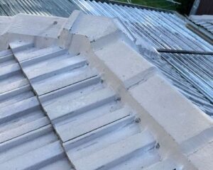 Roof repoint and paint