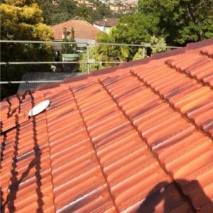 Roof Cleaning Nowra
