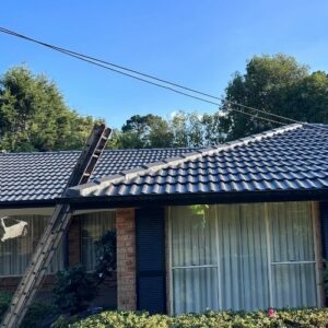 Roof Painting Nowra