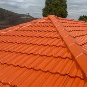 tile roof painting and restoration
