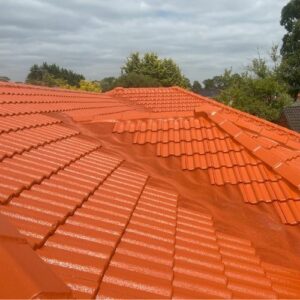 tile roof painting and restoration