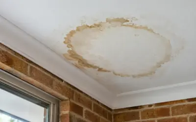 Water Stain on the Ceiling? How to Tell if It’s the Roof