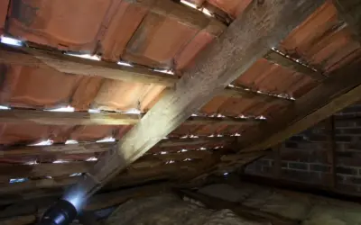 Roof Sarking: Does Your Nowra Home Need It?