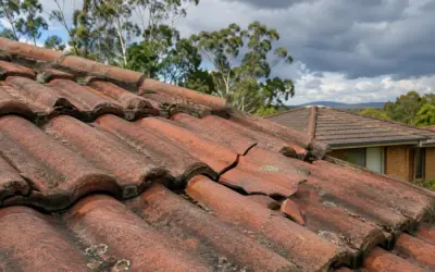 Cracked Roof Tiles: Causes, Fixes and When to Worry